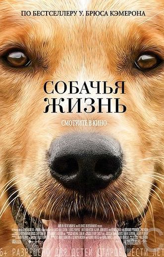 Собачья жизнь / A Dog's Purpose (2017) смотреть онлайн, скачать - трейлер